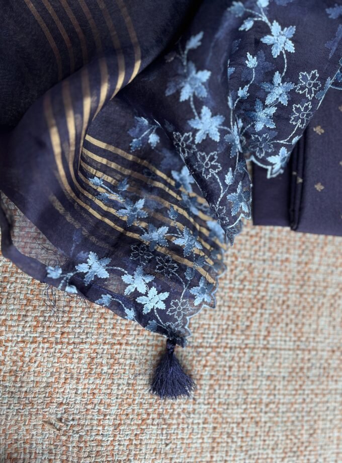 Tarang | ترنگ | तरंग : Soft Moonga Silk Salwars with Organza Dupatta (Blue)