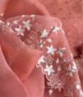 Tarang | ترنگ | तरंग : Soft Moonga Silk Salwars with Organza Dupatta (Peach) - Image 11