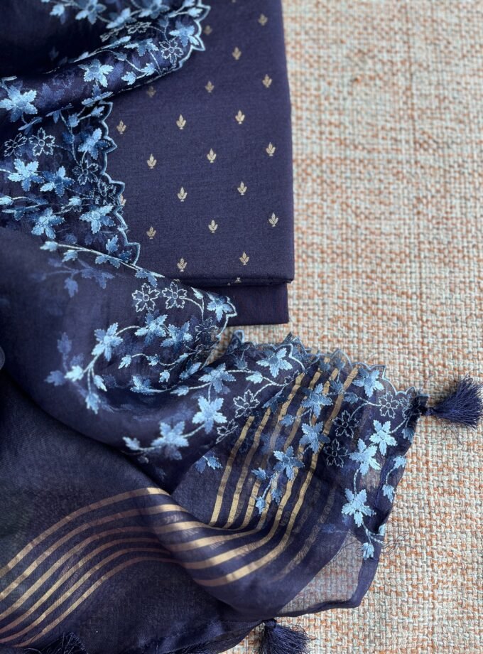 Tarang | ترنگ | तरंग : Soft Moonga Silk Salwars with Organza Dupatta (Blue)