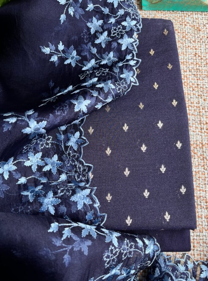 Tarang | ترنگ | तरंग : Soft Moonga Silk Salwars with Organza Dupatta (Blue)