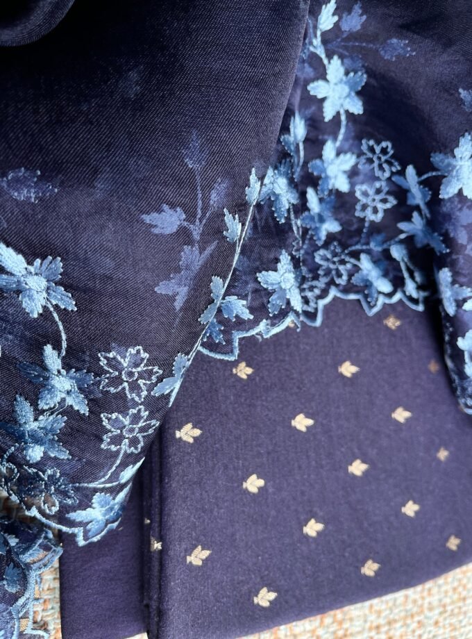 Tarang | ترنگ | तरंग : Soft Moonga Silk Salwars with Organza Dupatta (Blue)