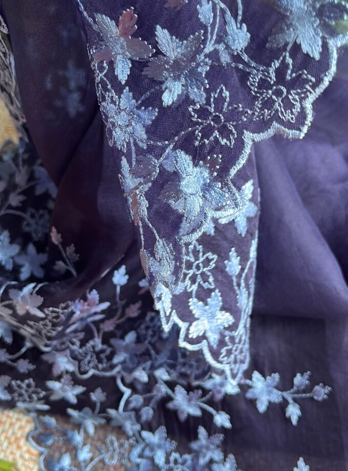 Tarang | ترنگ | तरंग : Soft Moonga Silk Salwars with Organza Dupatta (Blue)