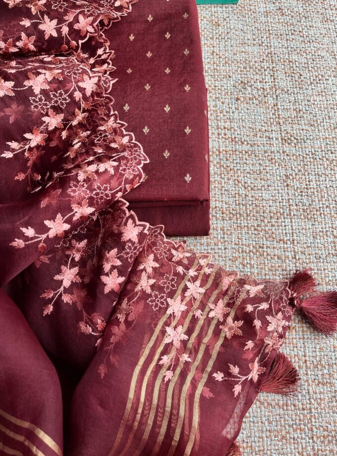 Tarang | ترنگ | तरंग : Soft Moonga Silk Salwars with Organza Dupatta (Brown)