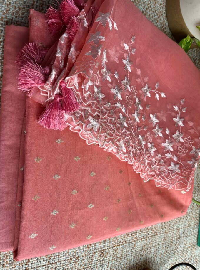 Tarang | ترنگ | तरंग : Soft Moonga Silk Salwars with Organza Dupatta (Peach)