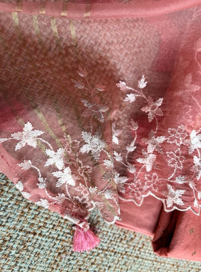 Tarang | ترنگ | तरंग : Soft Moonga Silk Salwars with Organza Dupatta (Peach)