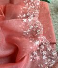 Tarang | ترنگ | तरंग : Soft Moonga Silk Salwars with Organza Dupatta (Peach) - Image 2
