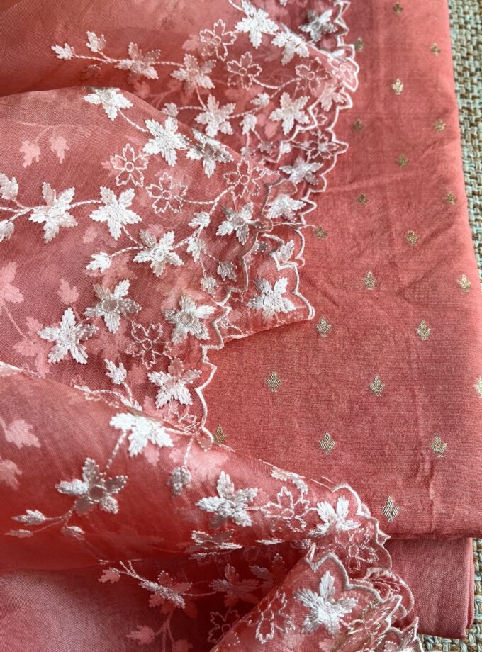 Tarang | ترنگ | तरंग : Soft Moonga Silk Salwars with Organza Dupatta (Peach)