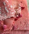 Tarang | ترنگ | तरंग : Soft Moonga Silk Salwars with Organza Dupatta (Peach) - Image 8