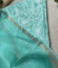 Nazaakat | نزاکت  | नज़ाकत (Sea Green): Tussar Kota Silk Salwar by Ikhtirah - Image 2