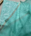 Nazaakat | نزاکت  | नज़ाकत (Sea Green): Tussar Kota Silk Salwar by Ikhtirah - Image 5