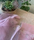 Roohani | روحانی | रूहानी A3 :  Pure Chanderi Cotton Salwar with Organza Dupatta Collection by Ikhtirah - Image 9