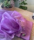 Roohani | روحانی | रूहानी  A4 :  Pure Chanderi Cotton Salwar with Organza Dupatta Collection by Ikhtirah - Image 29