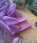 Roohani | روحانی | रूहानी  A4 :  Pure Chanderi Cotton Salwar with Organza Dupatta Collection by Ikhtirah - Image 12