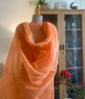 Nazam |  ﻧَﻈﻢ  | नज़्म : Handworked Kota Salwar (Orange) - Image 4