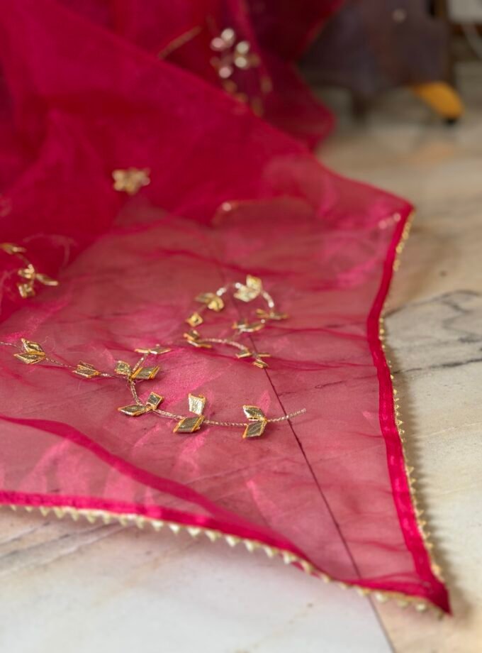 Handworked Organza by Organza Salwars by Ikhtirah