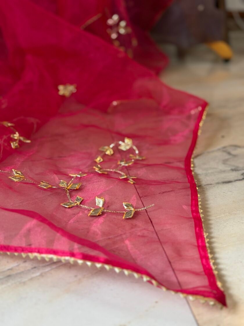 Handworked Organza by Organza Salwars by Ikhtirah - Image 10