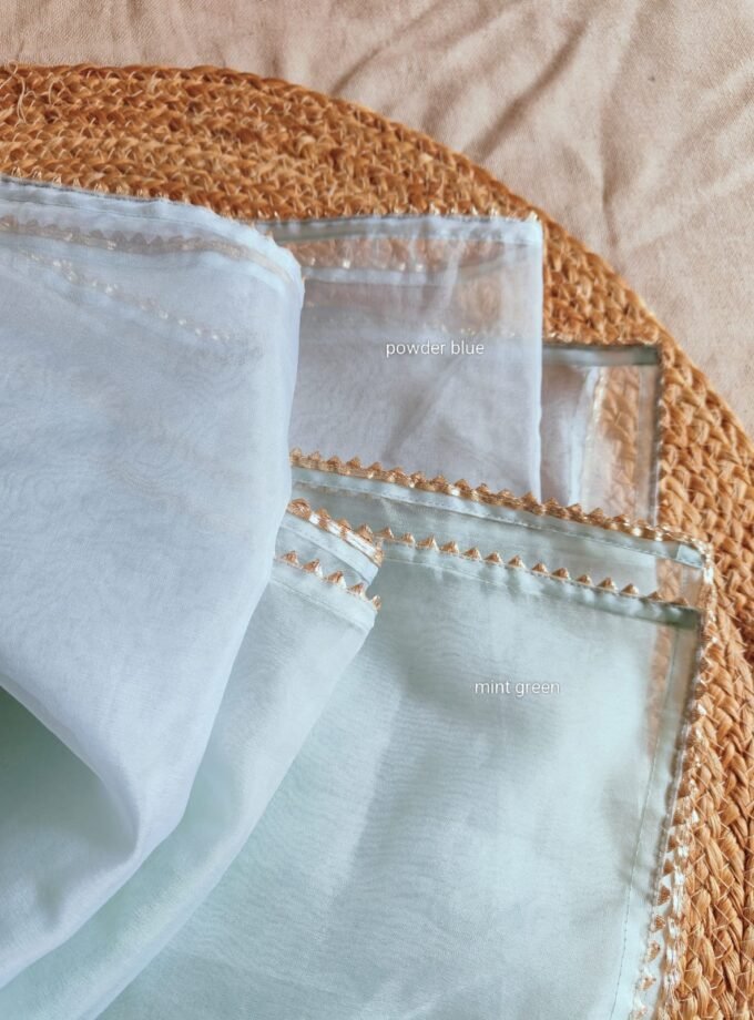 Hand Embroidered Pure Shimmer Tissue - Organza Salwars by Ikhtirah (Mint Green)