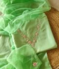 Hand Embroidered Upada Silk Salwars with Hand Embroidered Organza Duppata by Ikhtirah