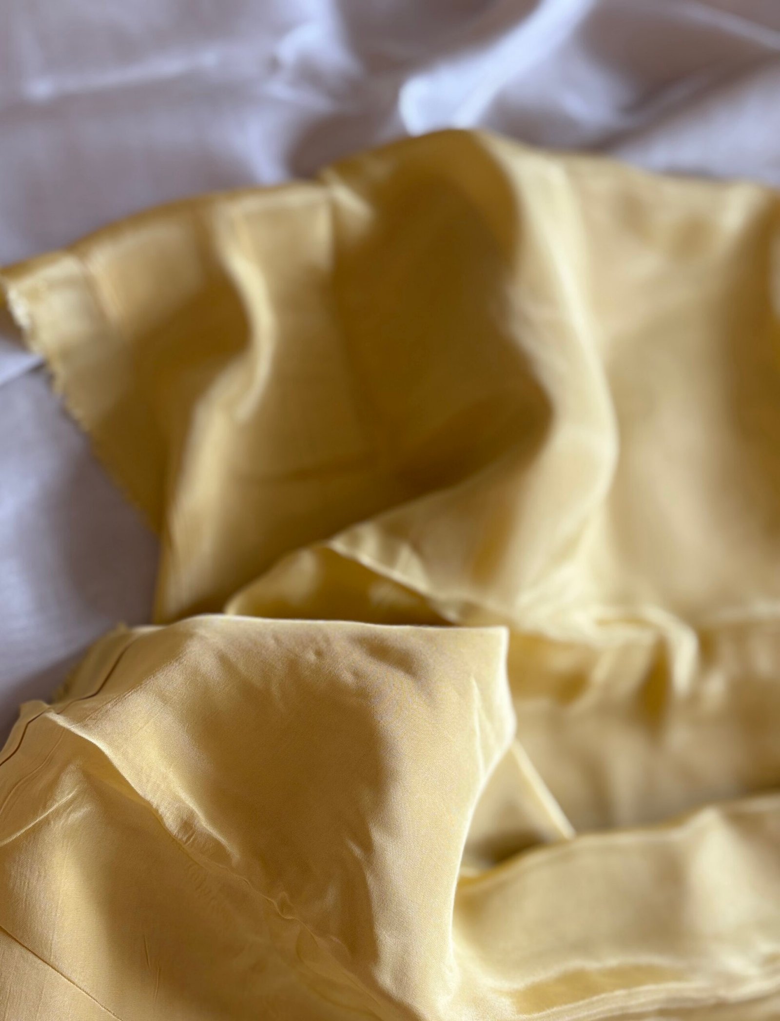 Embroidered Giraffe Silk with Hand Highlights and Organza Dupatta Ikhtirah - Image 10