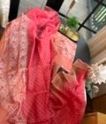 Patola Pure Maheshwari Silk Printed Salwars by Ikhtirah (Peach)
